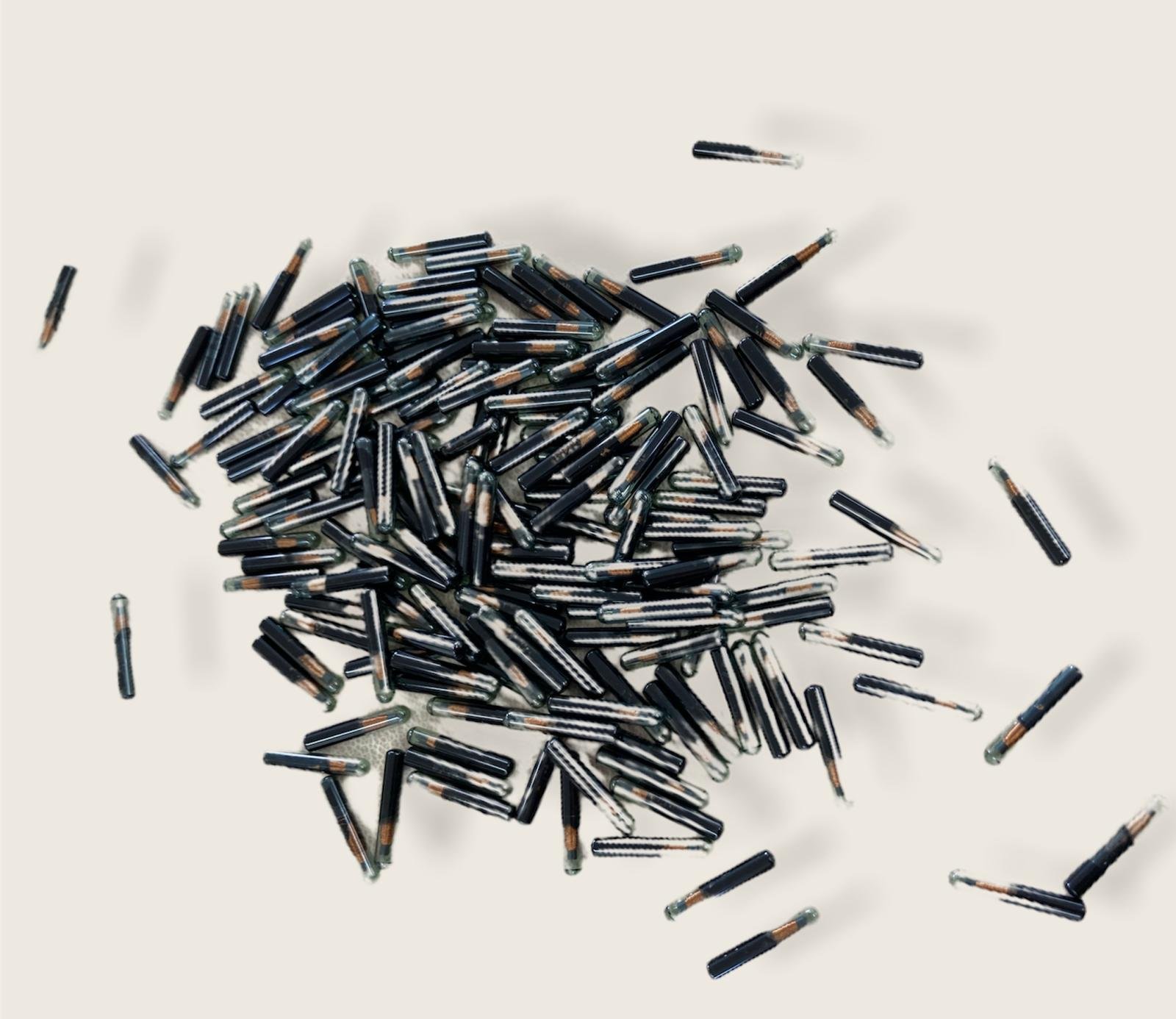 WMD+ FDX 12mm PIT Tags - Image 2